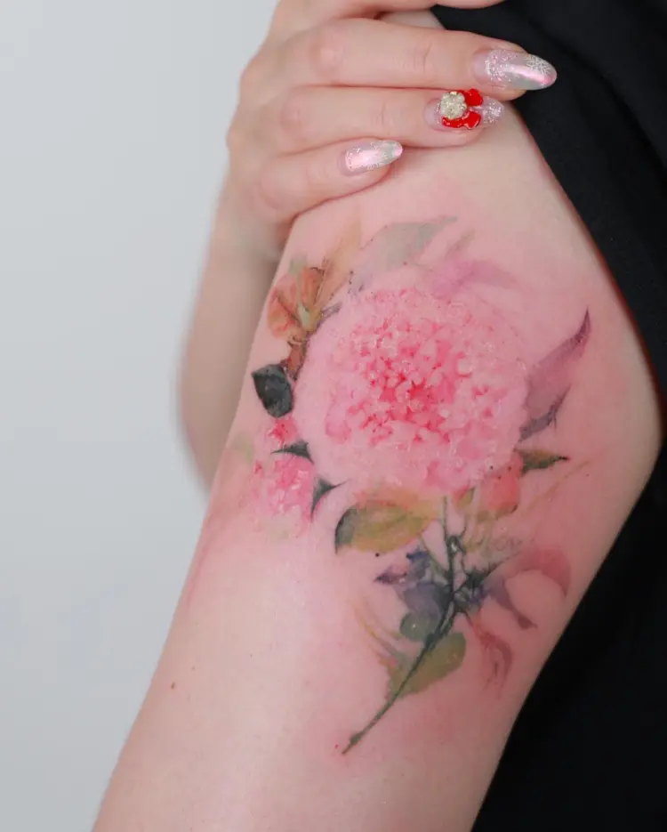 Flower, Rose