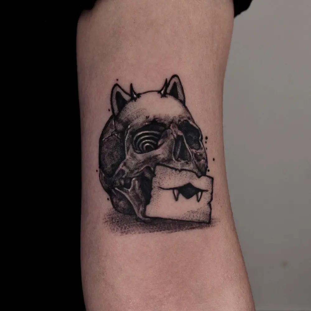 Skull, Animal