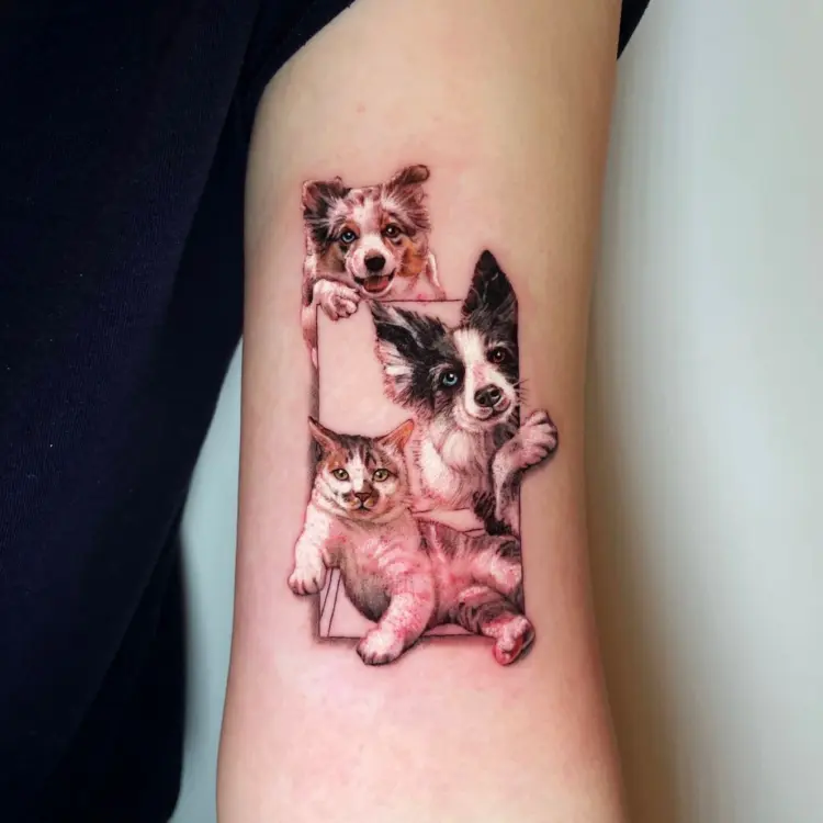 Animal