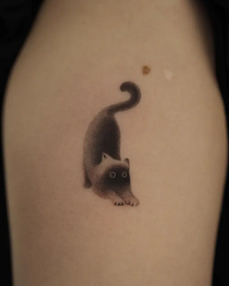 Animal