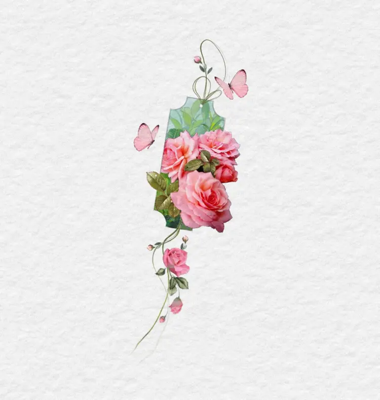 Nature, Flower, Rose