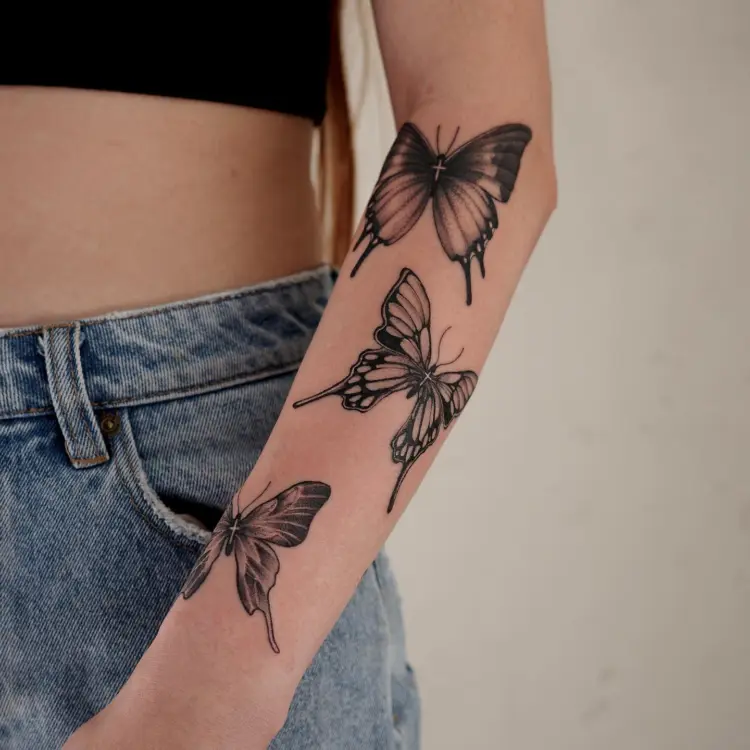 Animal, Nature