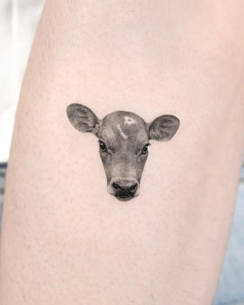 Animal