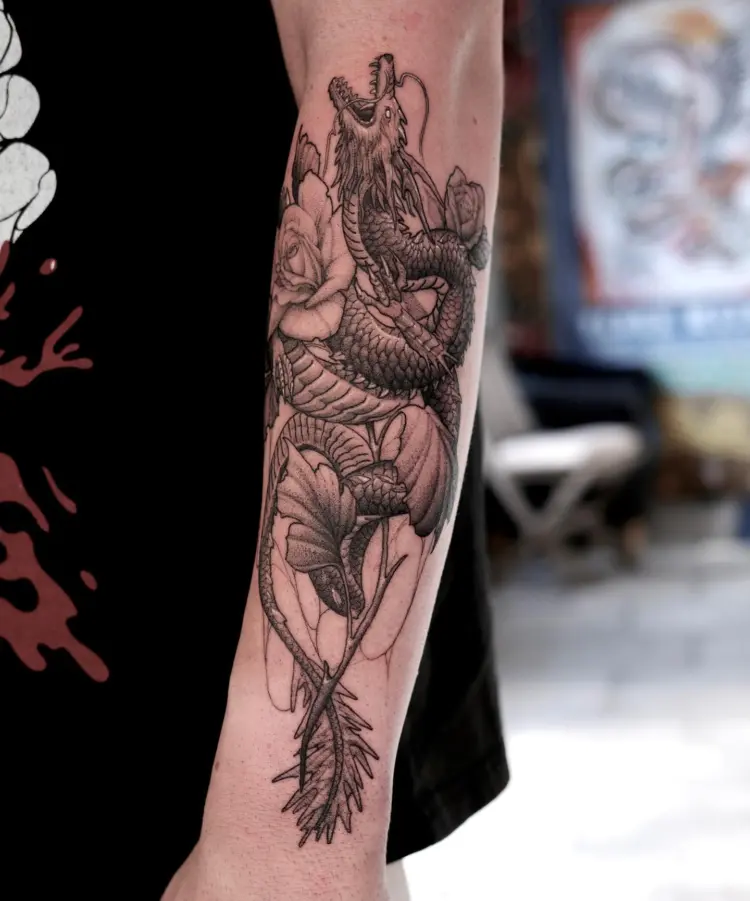 Dragon