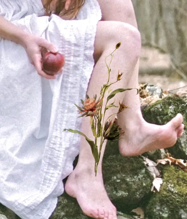 Flower, Nature