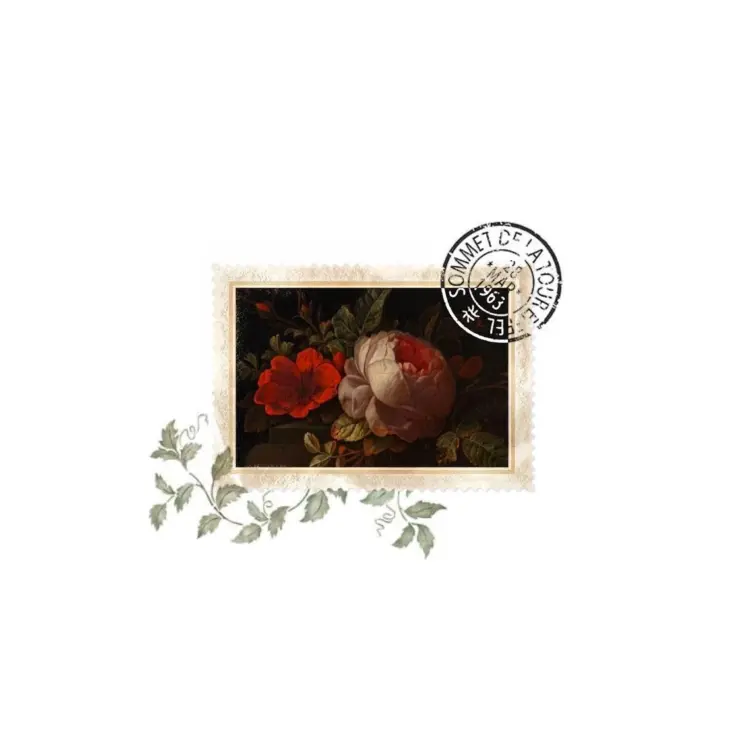Flower, Nature, Rose
