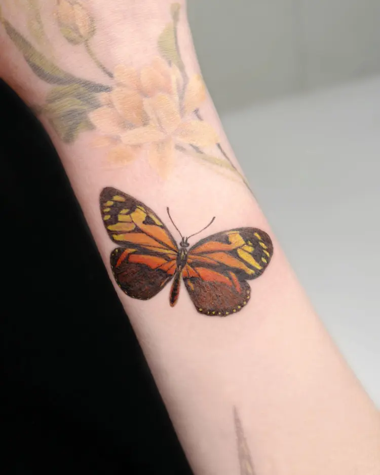 Animal, Nature
