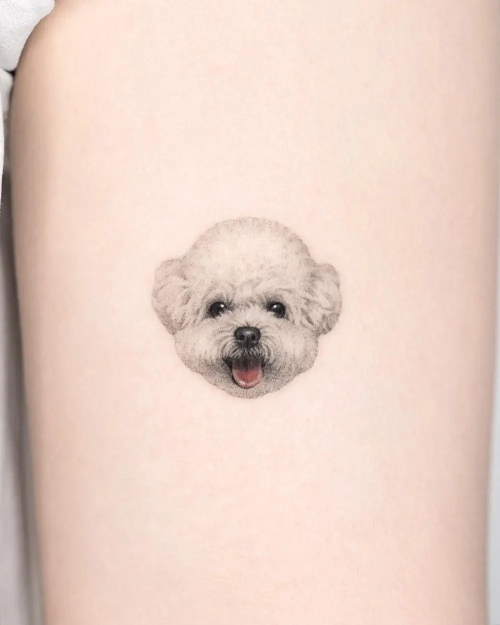 Animal, Mini