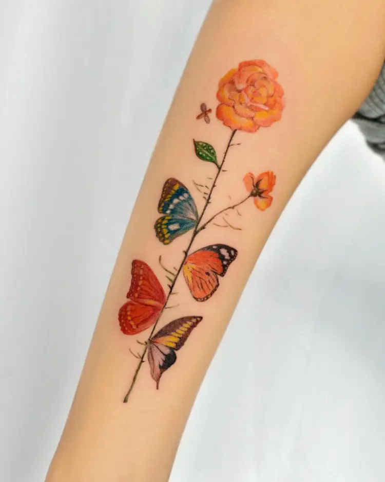 Nature, Animal