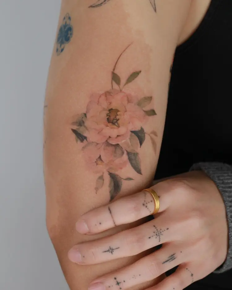 Flower, Rose