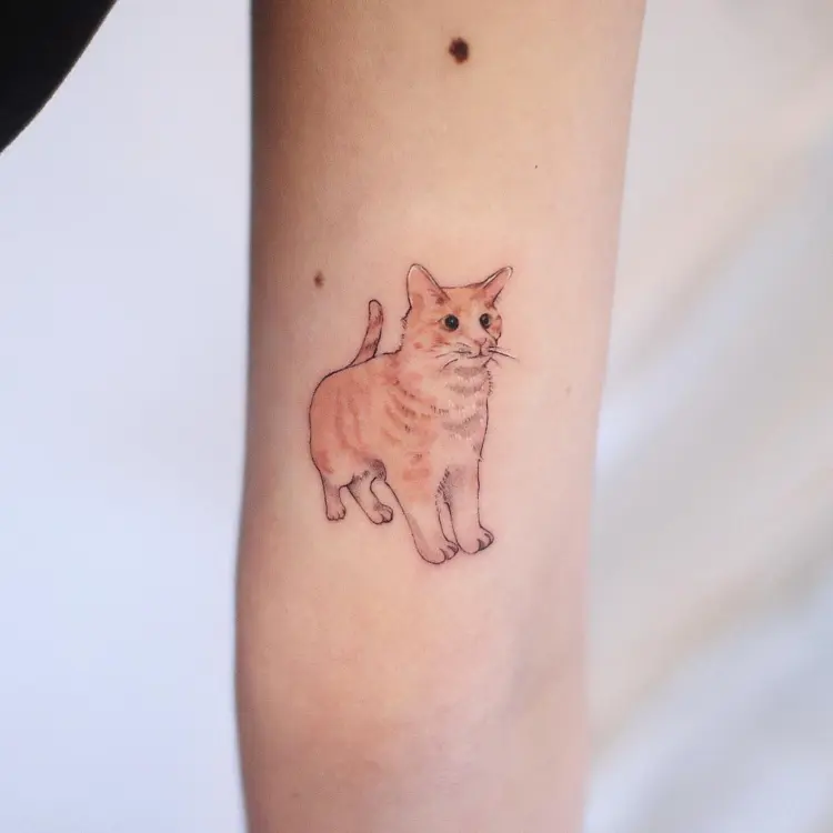 Animal