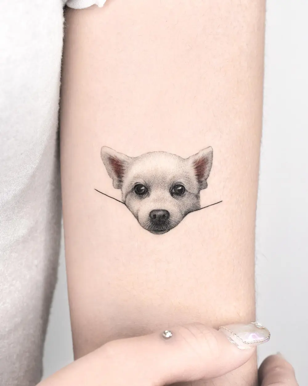 Animal