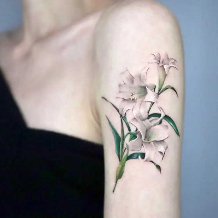 Nature, Flower