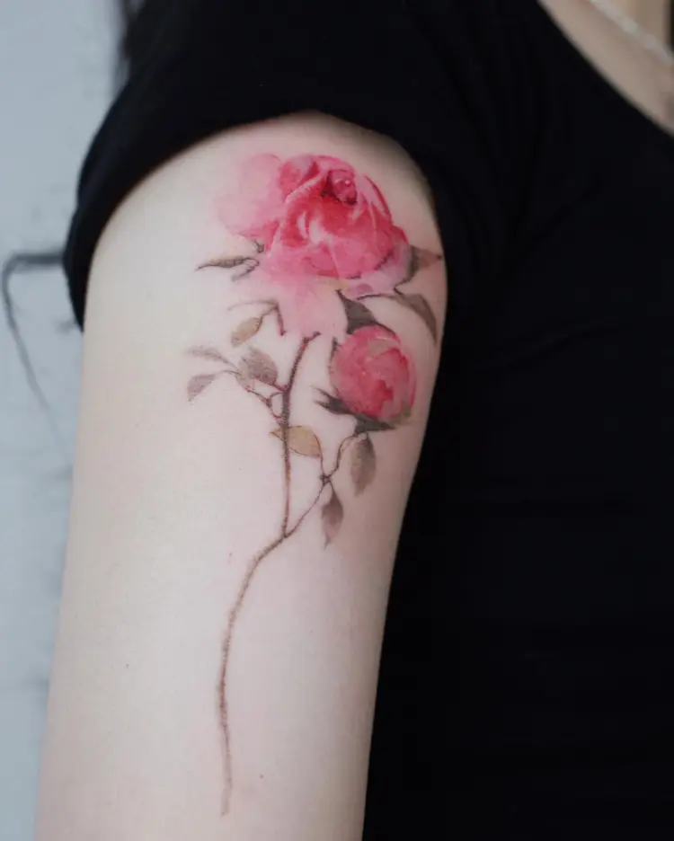 Nature, Rose, Flower