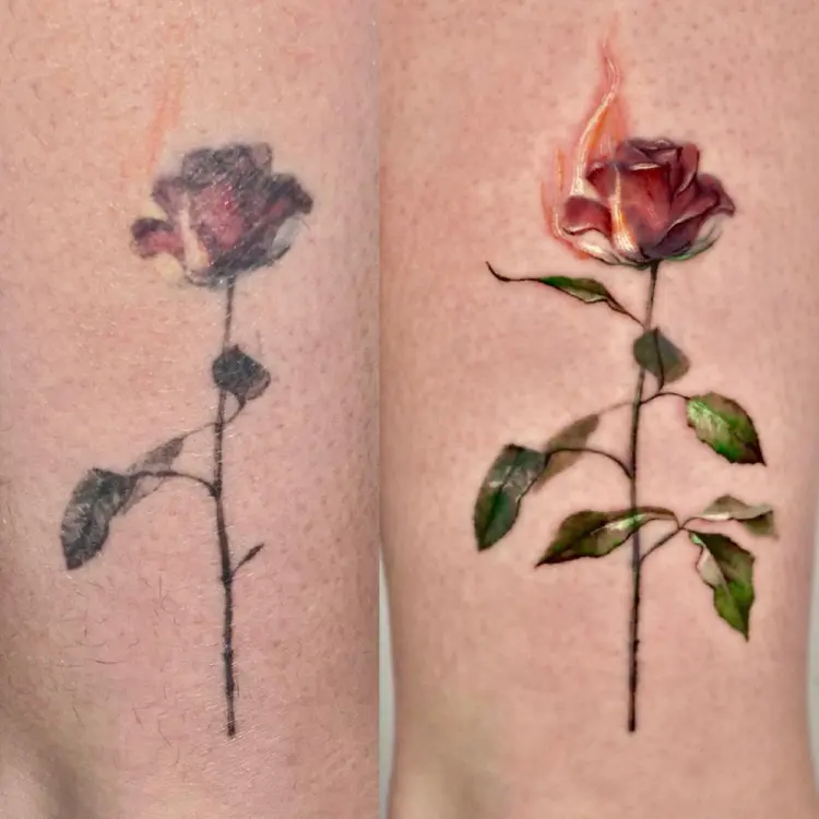 Flower, Rose