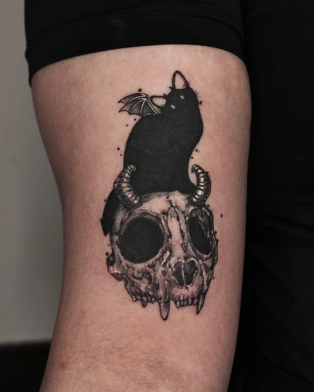 gnar.ttt
