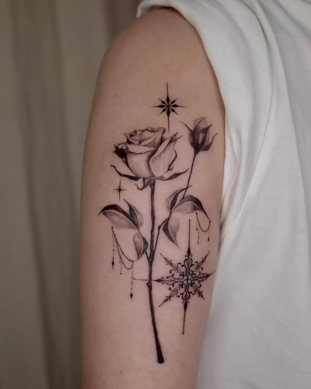 Flower, Rose