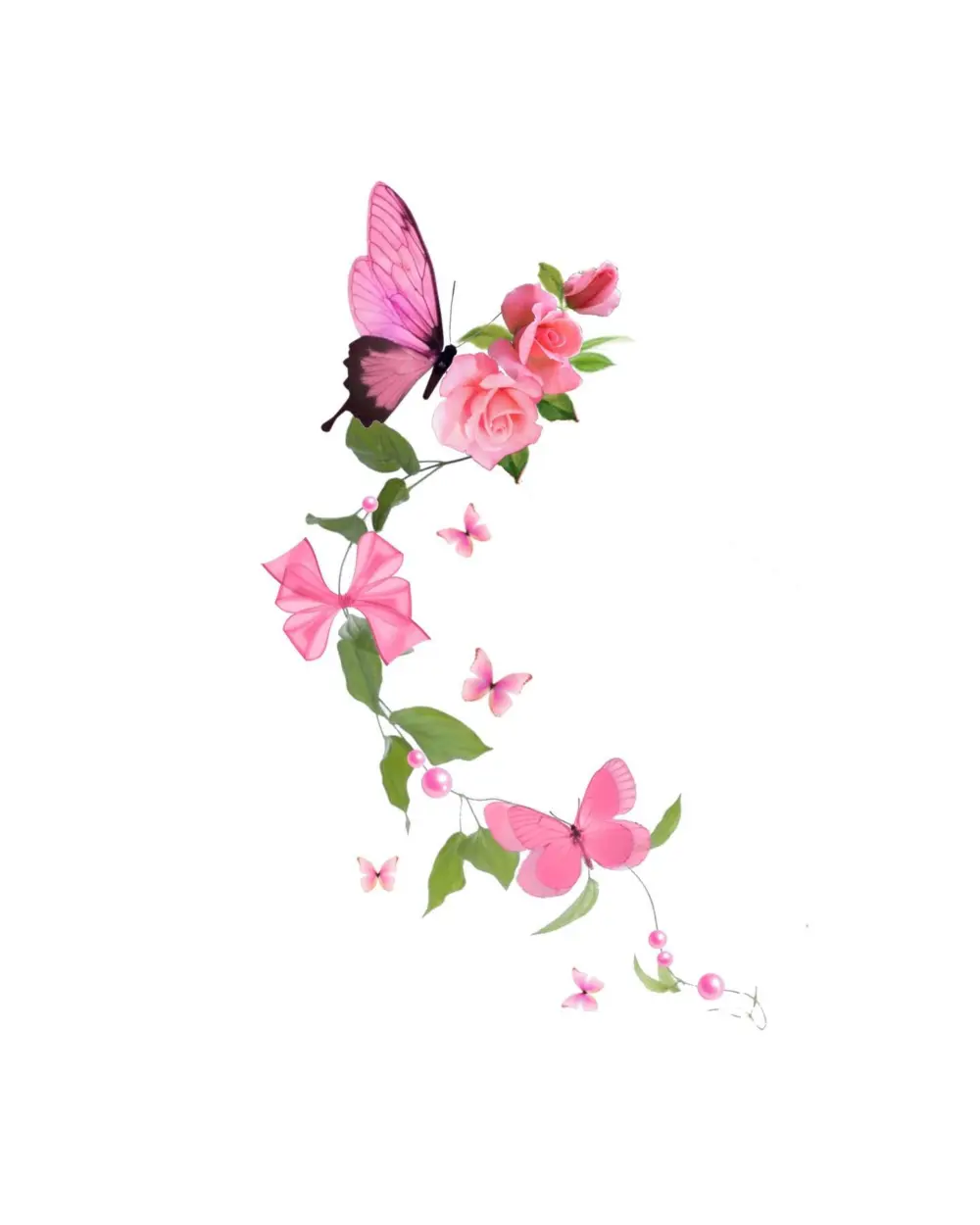 Animal, Rose, Flower
