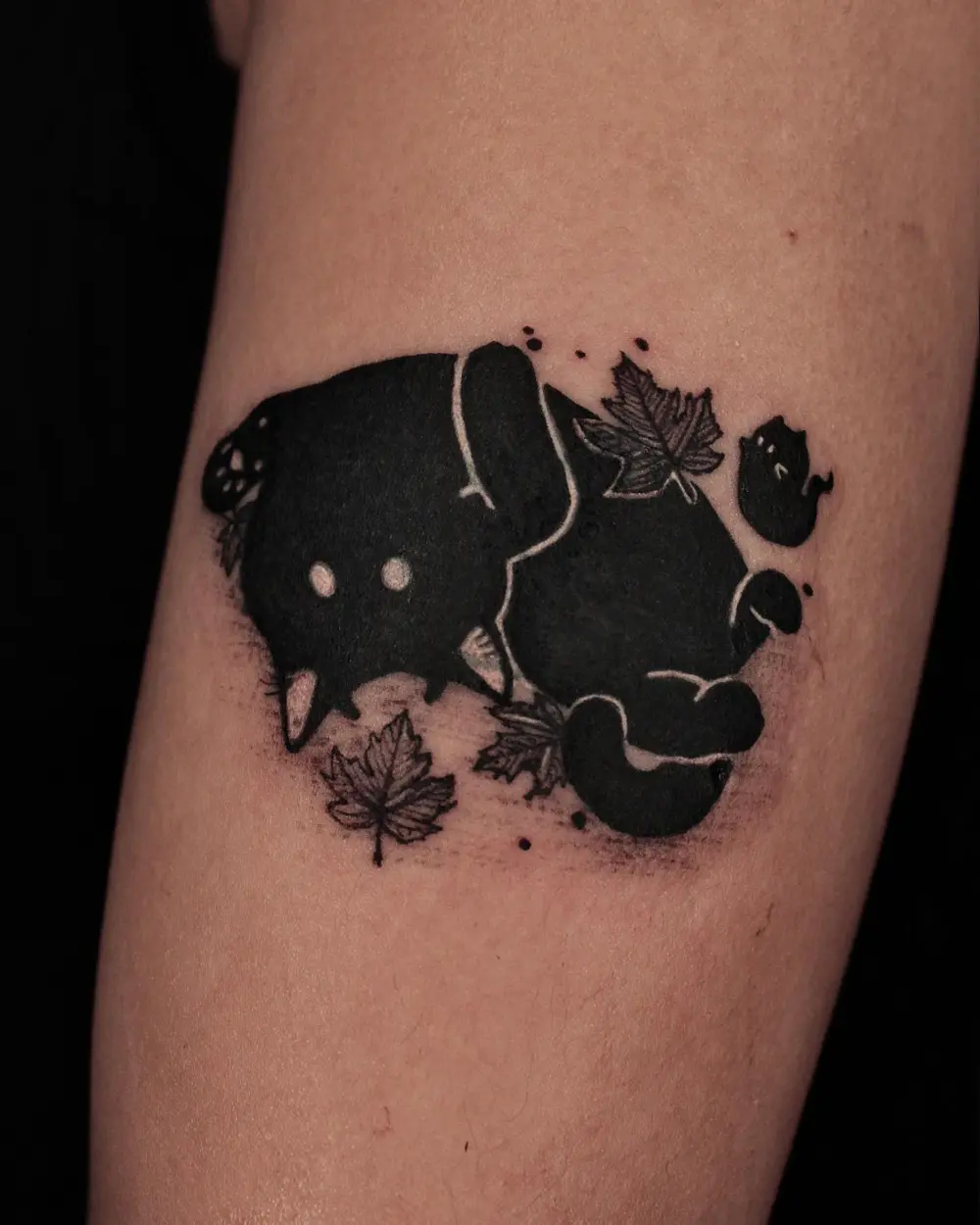 gnar.ttt
