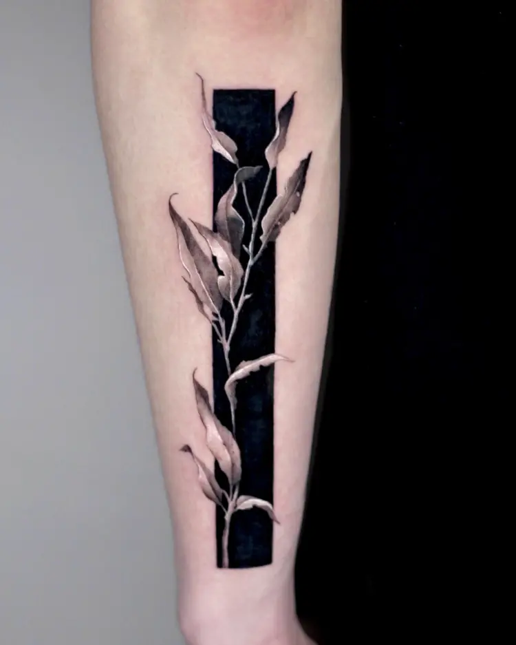 Flower, Rose, 덩굴