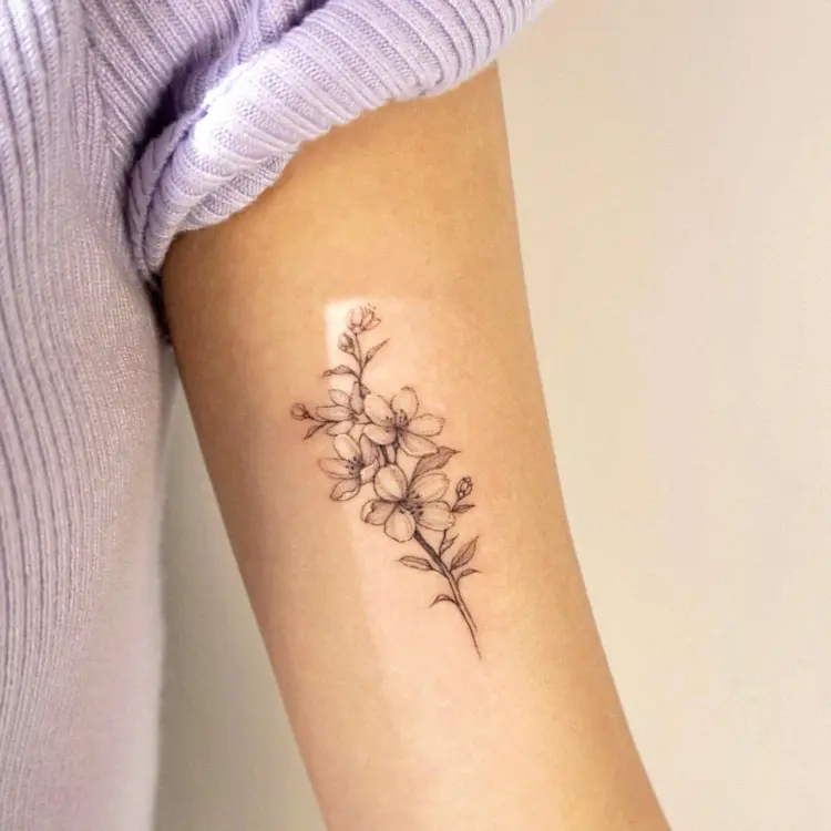 Nature, Flower