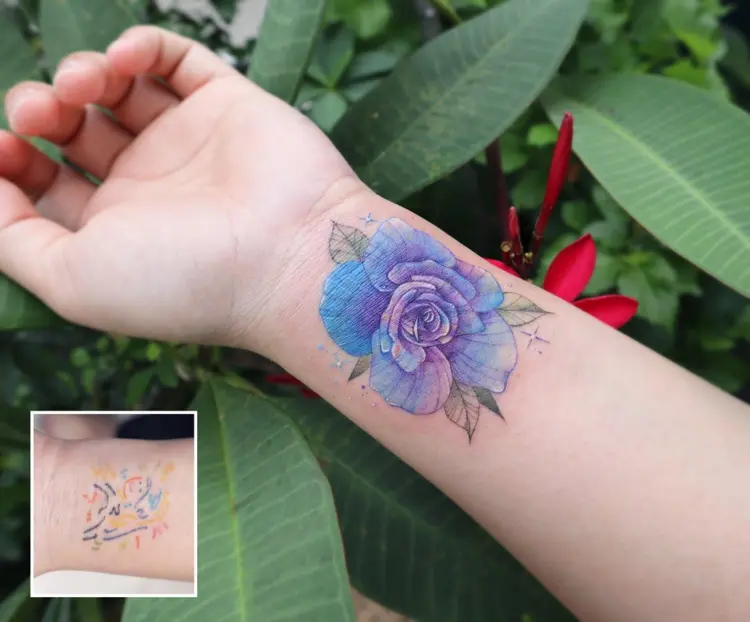 Rose, Flower, 국화, 수국
