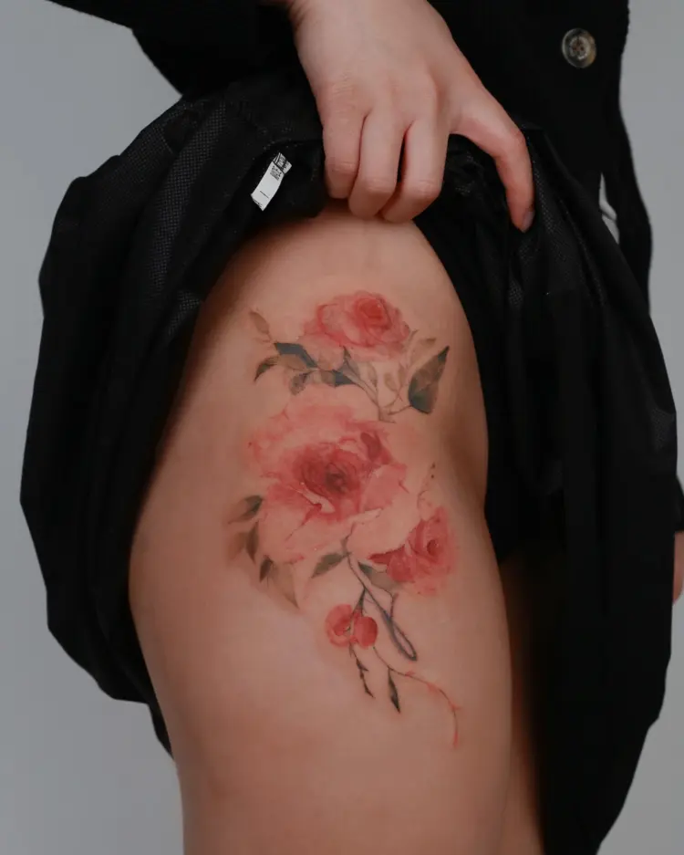 Nature, Flower, Rose