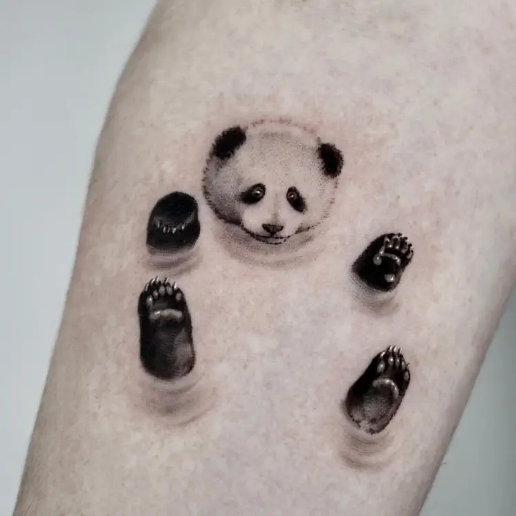 Animal