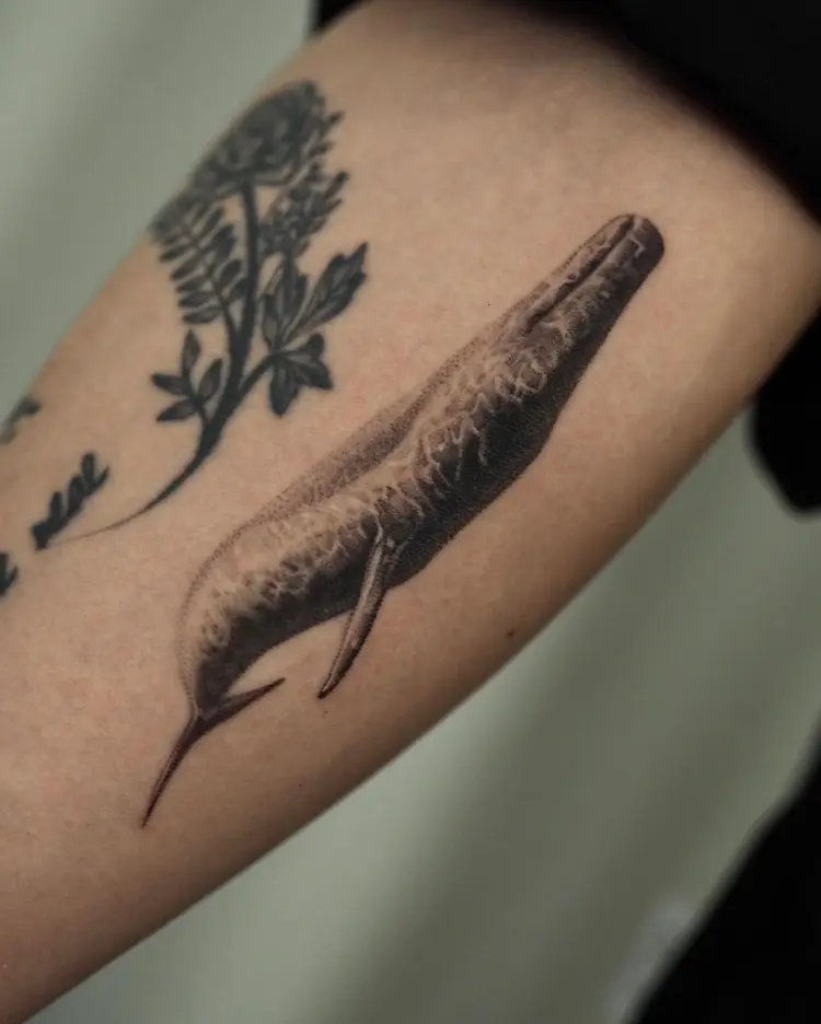 Animal