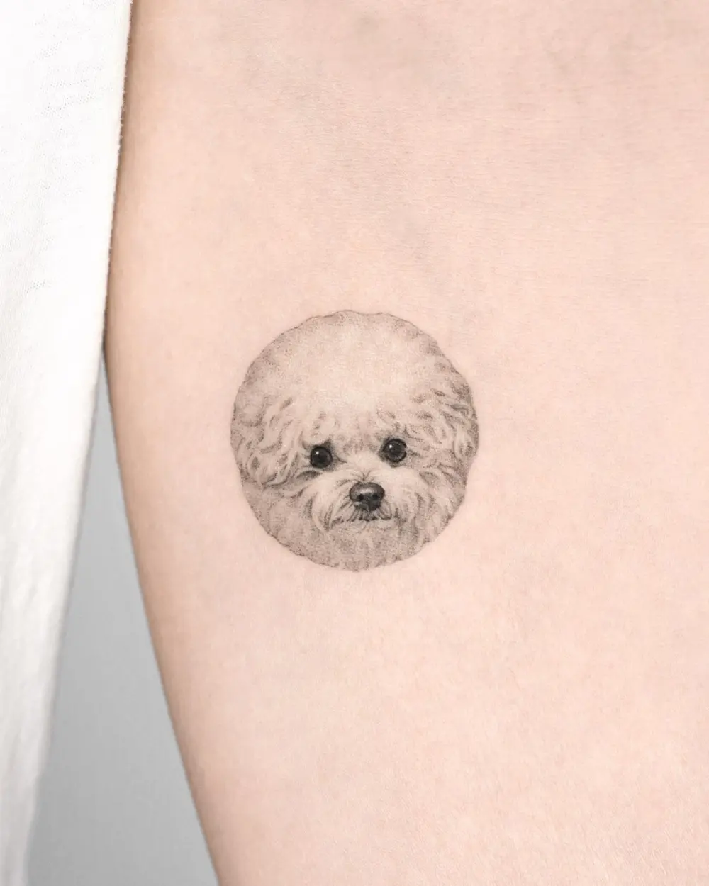 Animal, Mini
