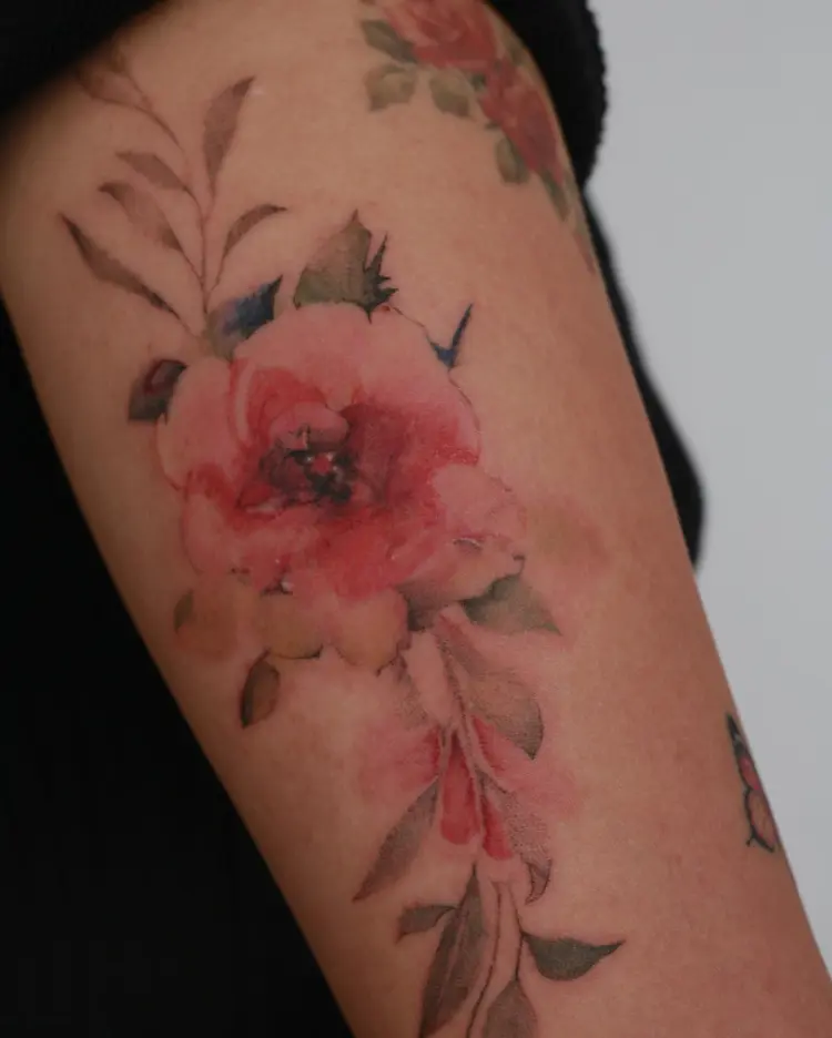 Flower, Rose