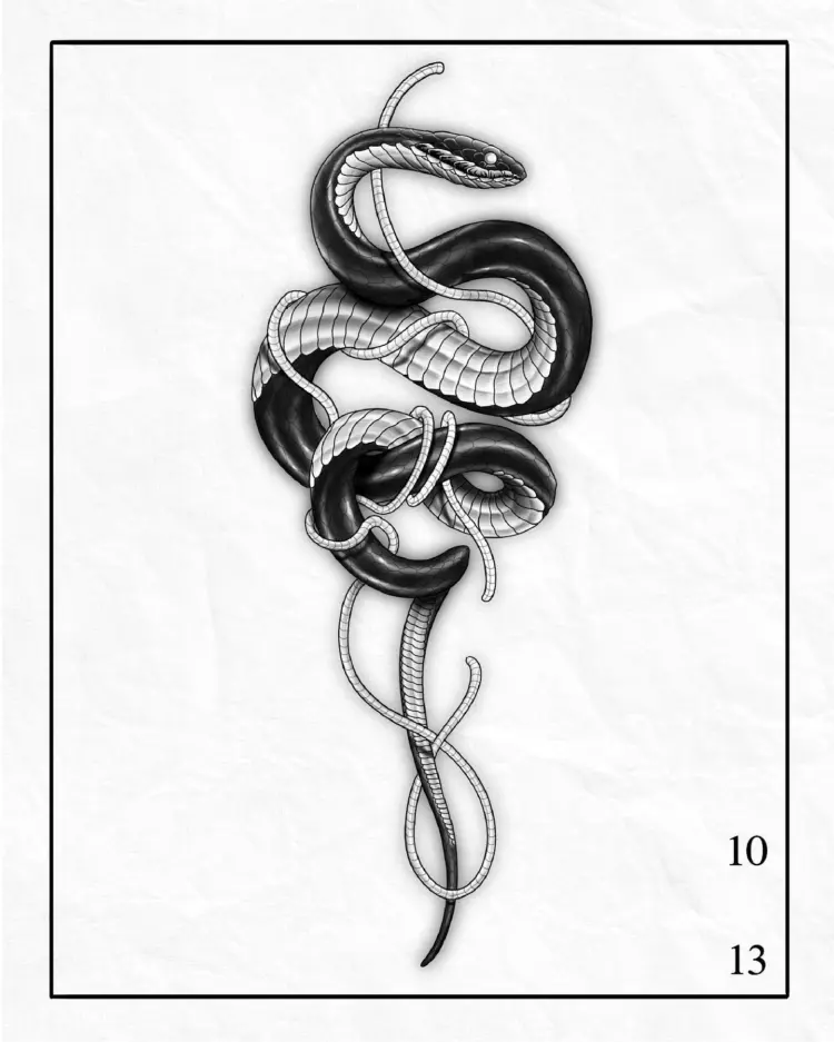 Snake