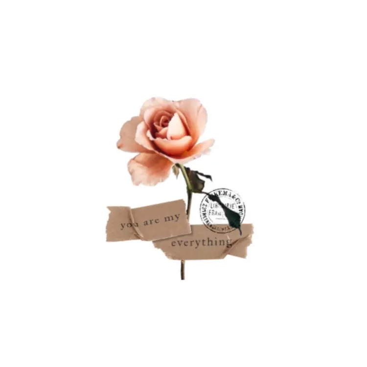 Flower, Lettering, Rose