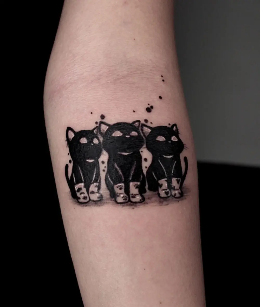 Animal