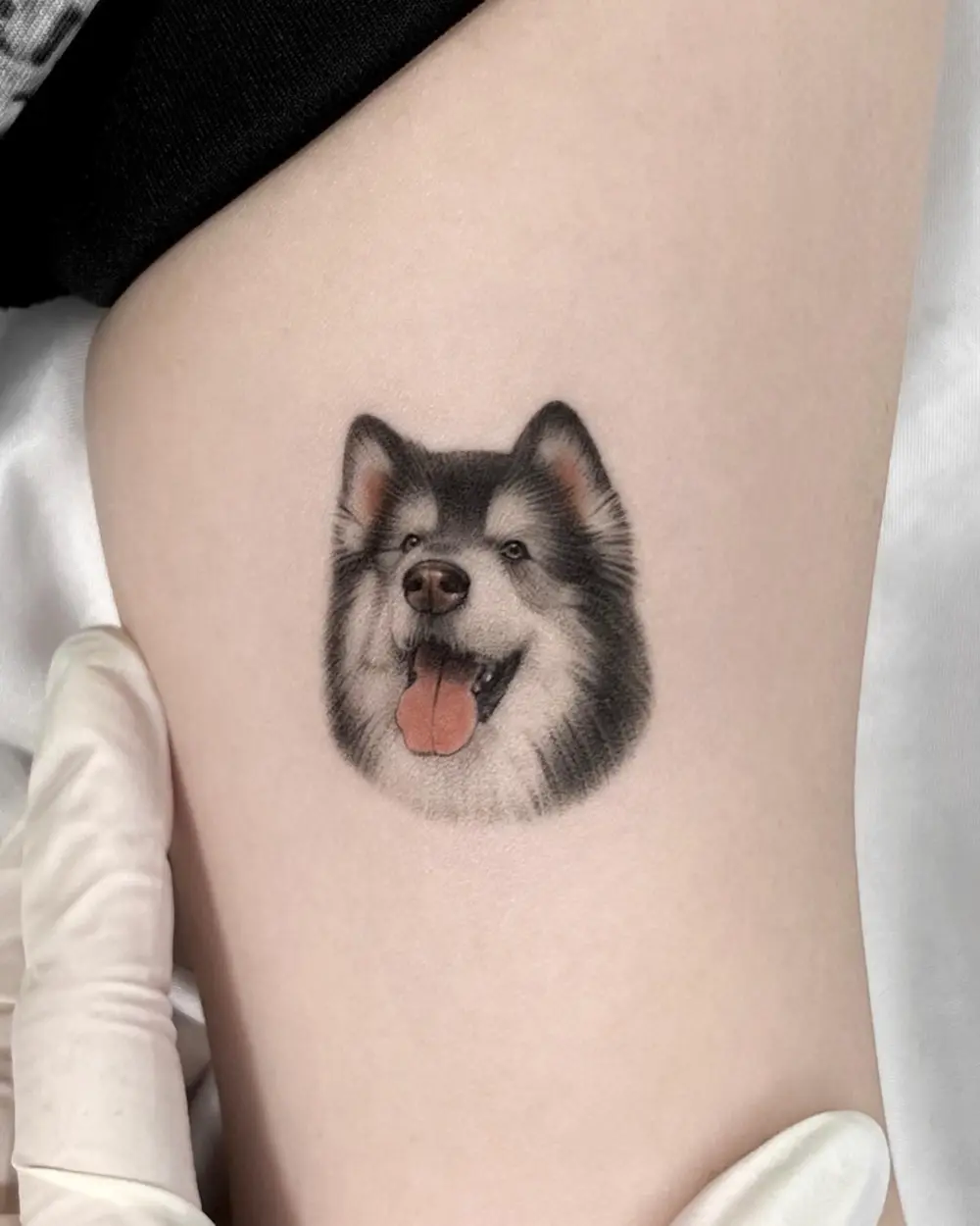 Animal