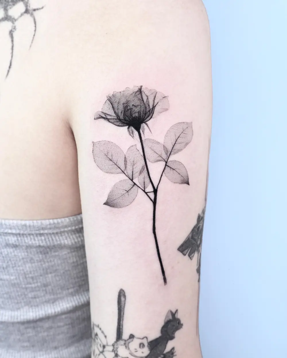 Nature, Flower