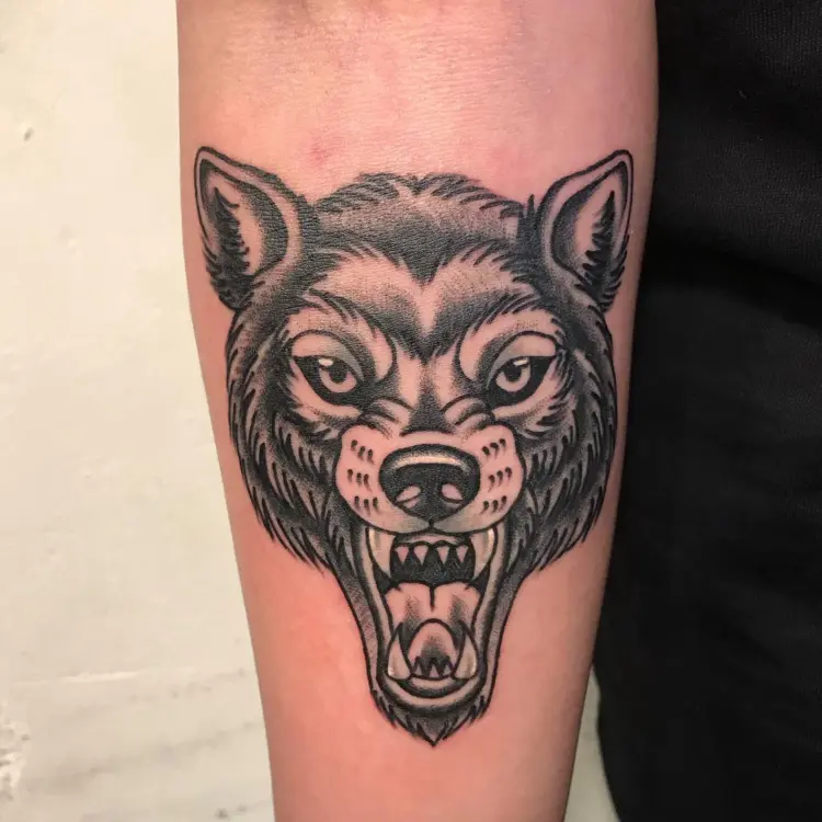 Animal