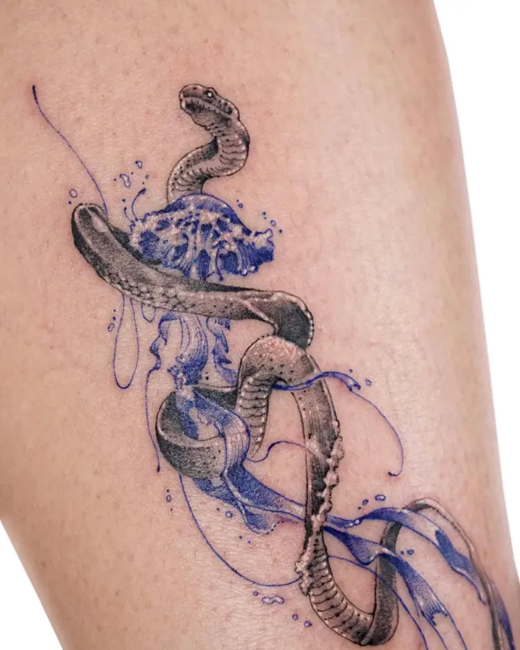Nature, Animal, Snake