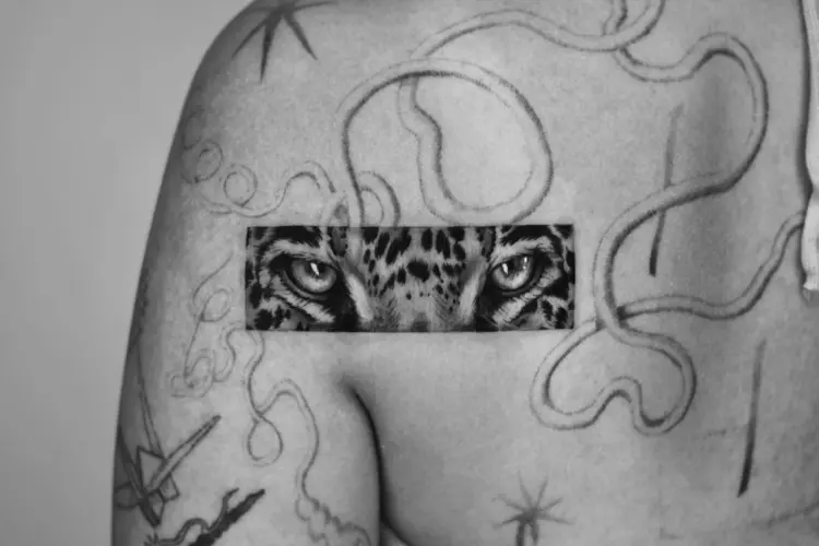 Tiger, Animal