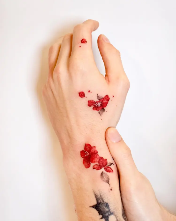 Flower, Rose, Nature