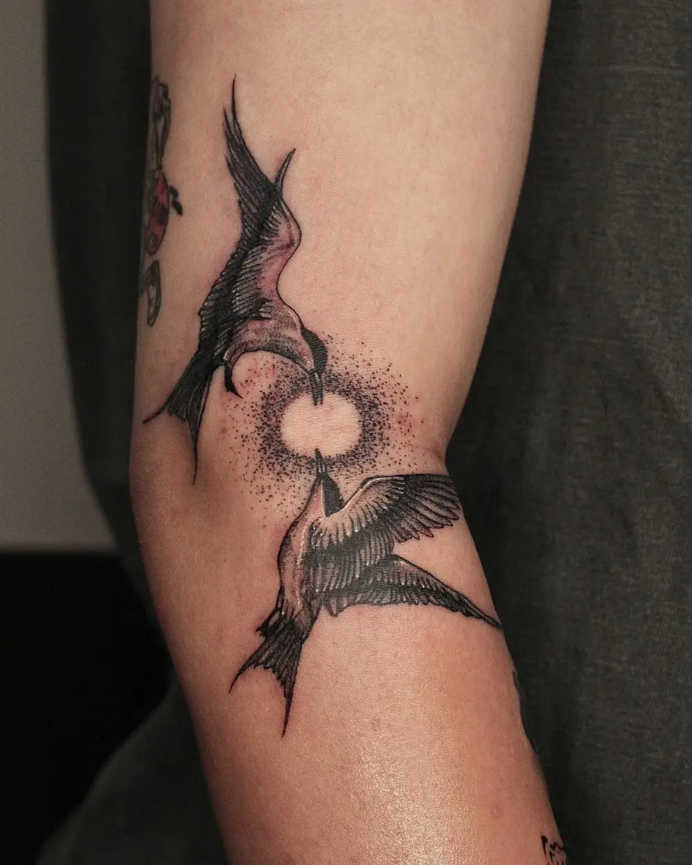 gnar.ttt