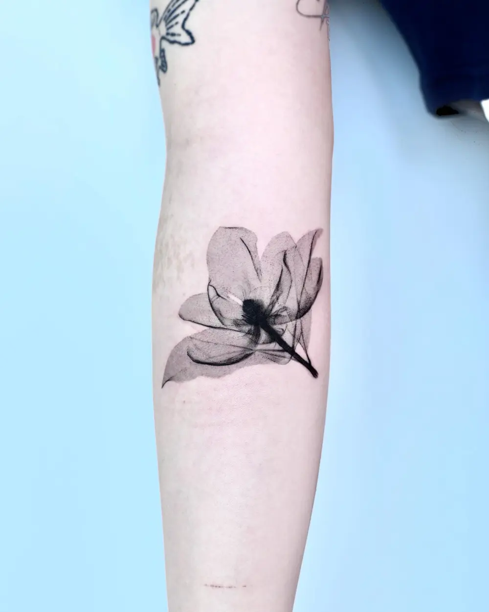 Flower