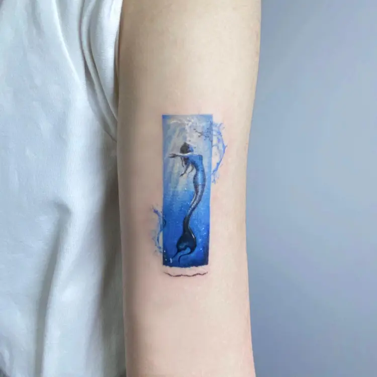 Nature, Animal
