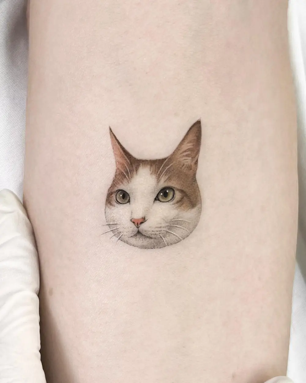 Animal