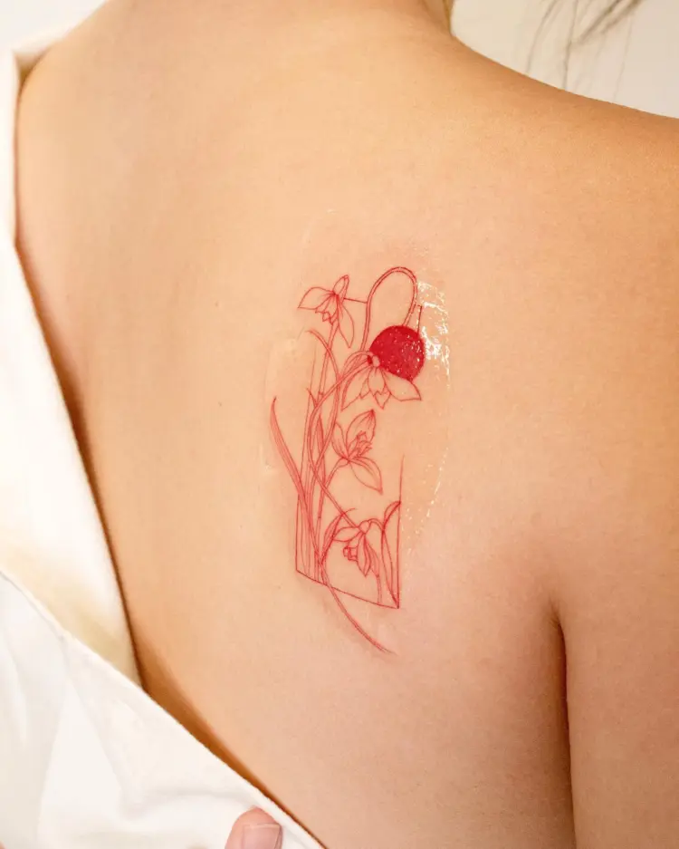 Flower, Rose, Nature
