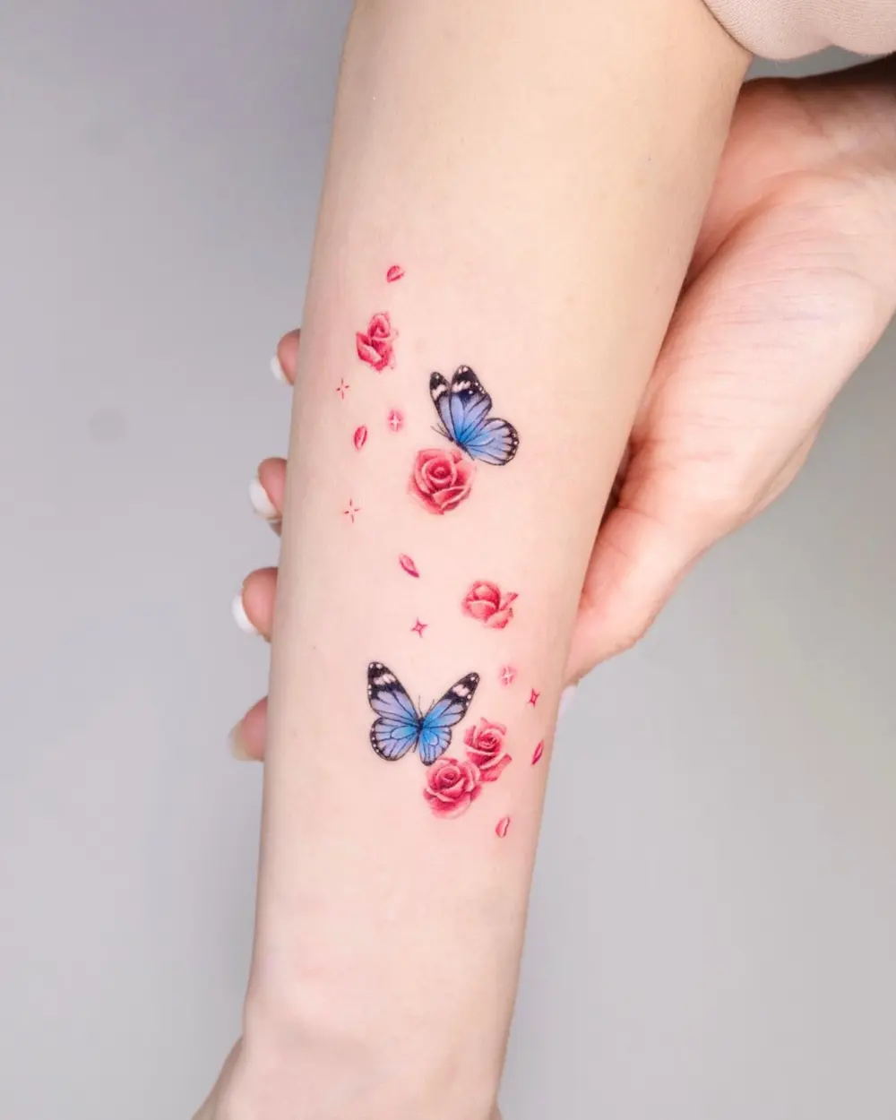 Flower, Animal, Rose, Nature