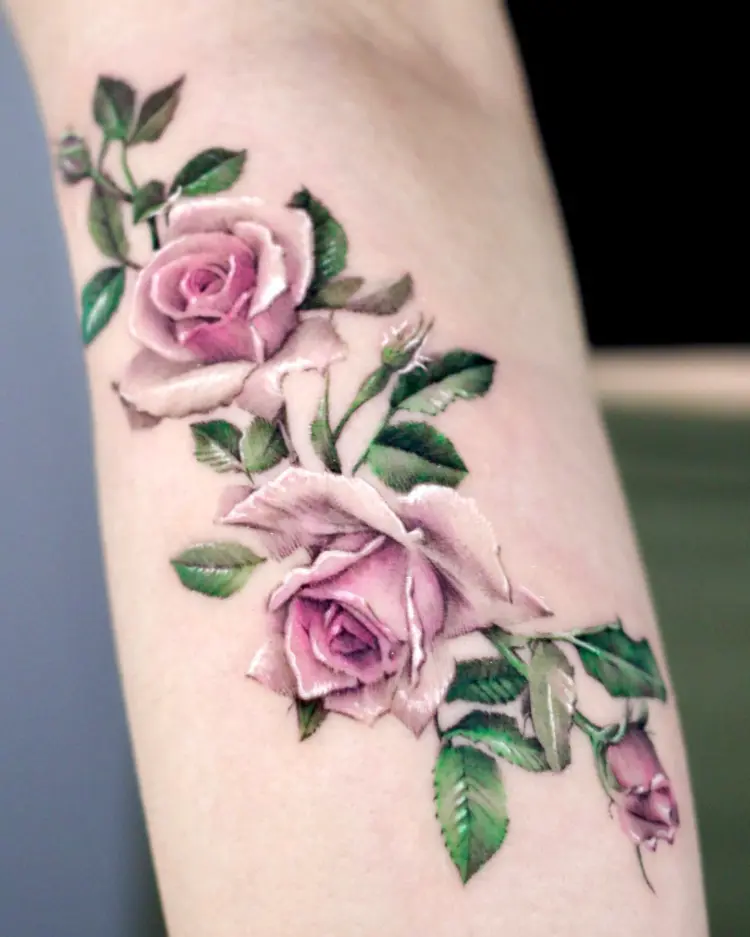 Flower, Rose, Nature