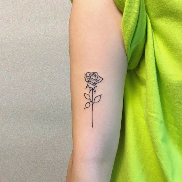 Rose, Flower