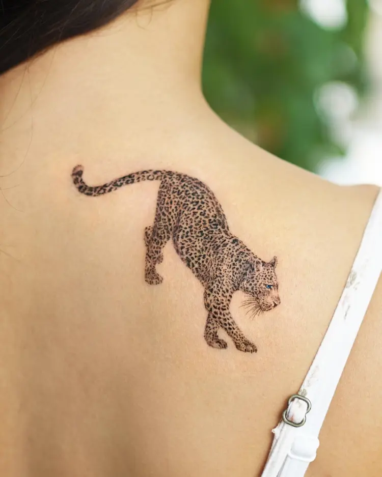 Animal, Tiger