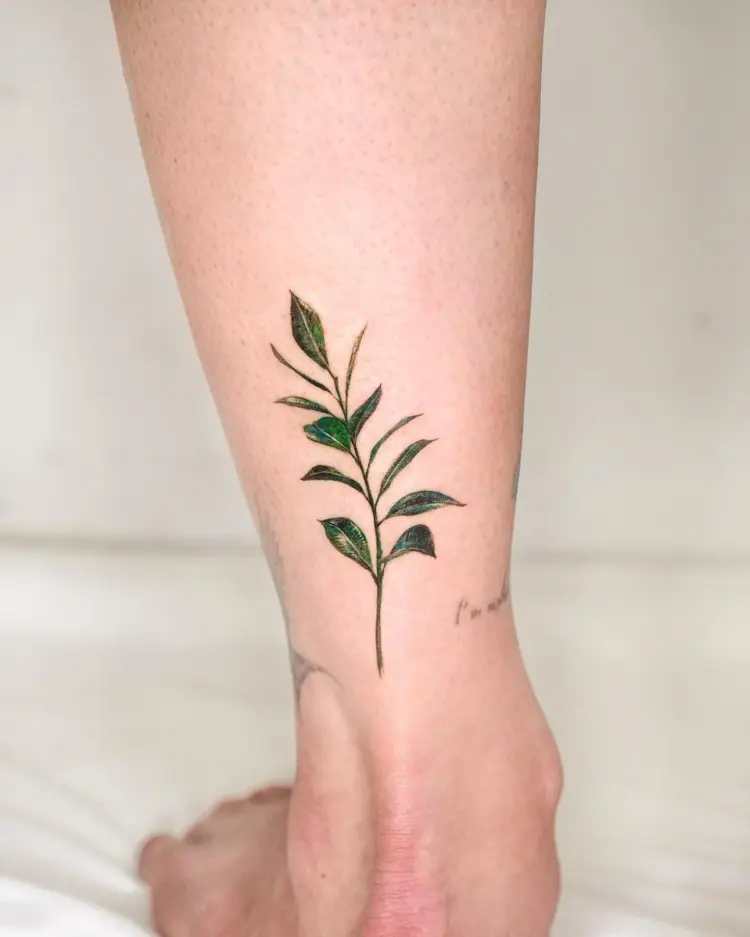 Nature, Flower
